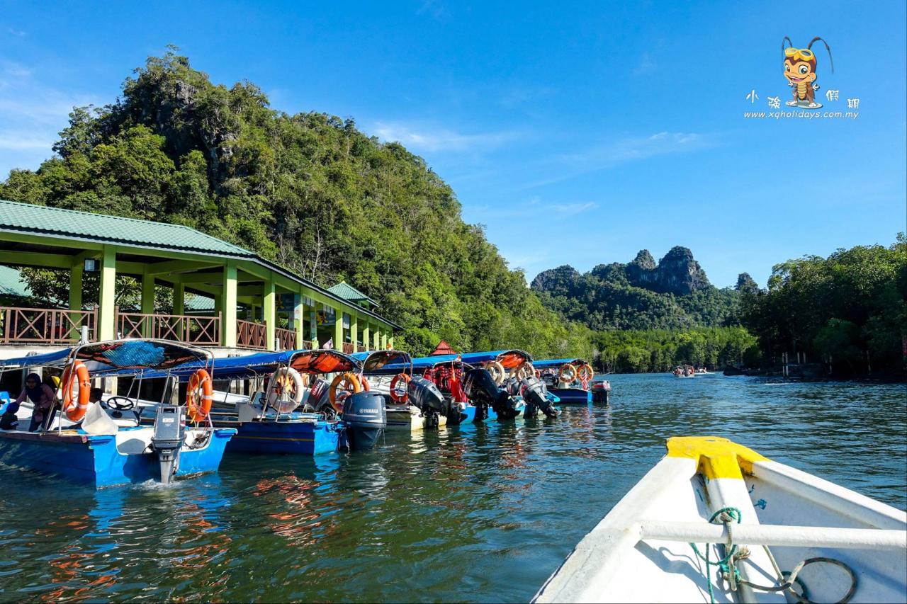 Jelajahi Pesona Hutan Mangrove Langkawi dengan Mangrove Tour yang Menakjubkan